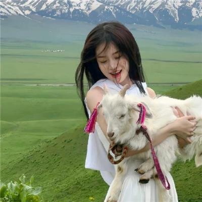 间谍亚契第十季